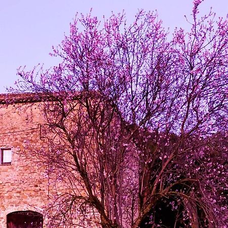 Apartamento El Castell de Segueró Beuda Exterior foto