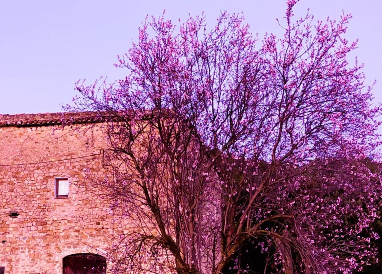 Apartamento El Castell de Segueró Beuda Exterior foto